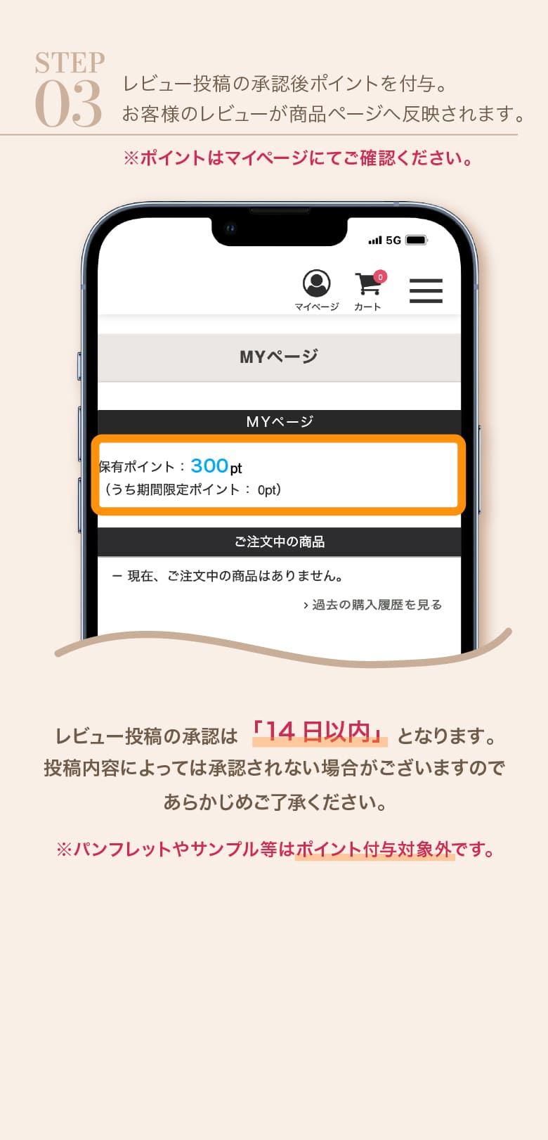 レビュー投稿で300ptプレゼント